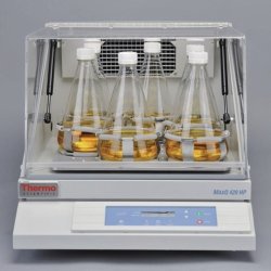 Benchtop Incubated Shaker MaxQ 420 HP | Type : MaxQ 420 HP